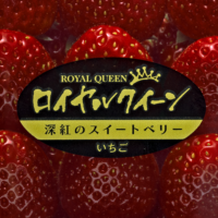 STRAWBERRY GARDEN ROYAL