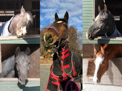 壬生乗馬クラブ