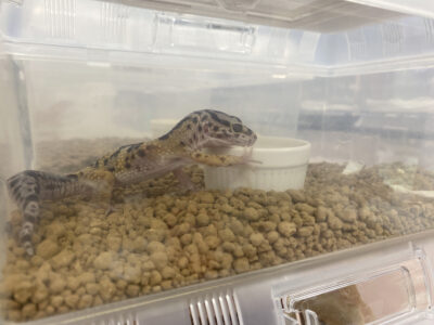 写真 2025-11-07 14 58 25