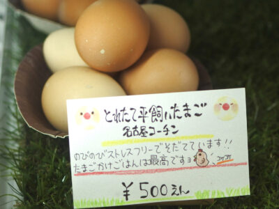 自然食 いなかめし