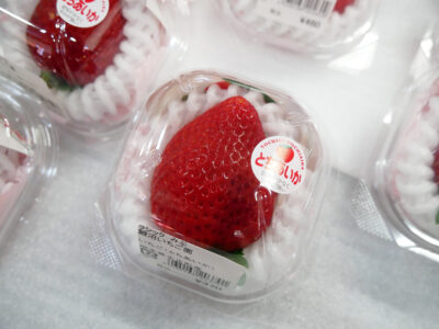 【道の駅みぶ】農産物直売所