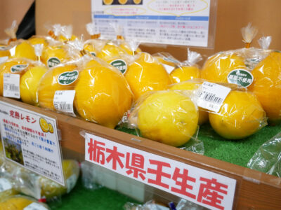 【道の駅みぶ】農産物直売所