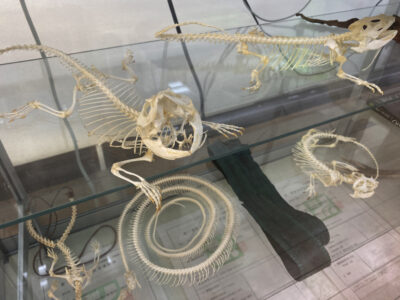 写真 2025-11-07 15 07 19